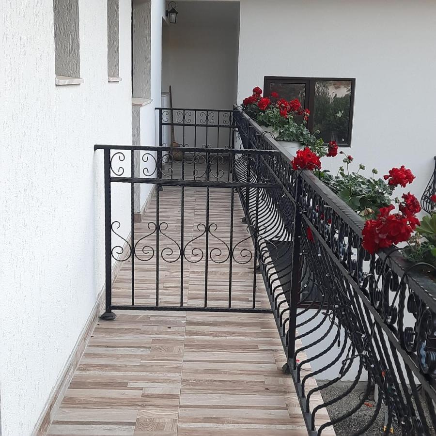 Casa Dana Olteanu Hotel Moeciu De Sus Exterior photo